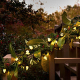 Balthazar Warm White Outdoor String Lights, 100 LED C7 Bulbs, Plug-In