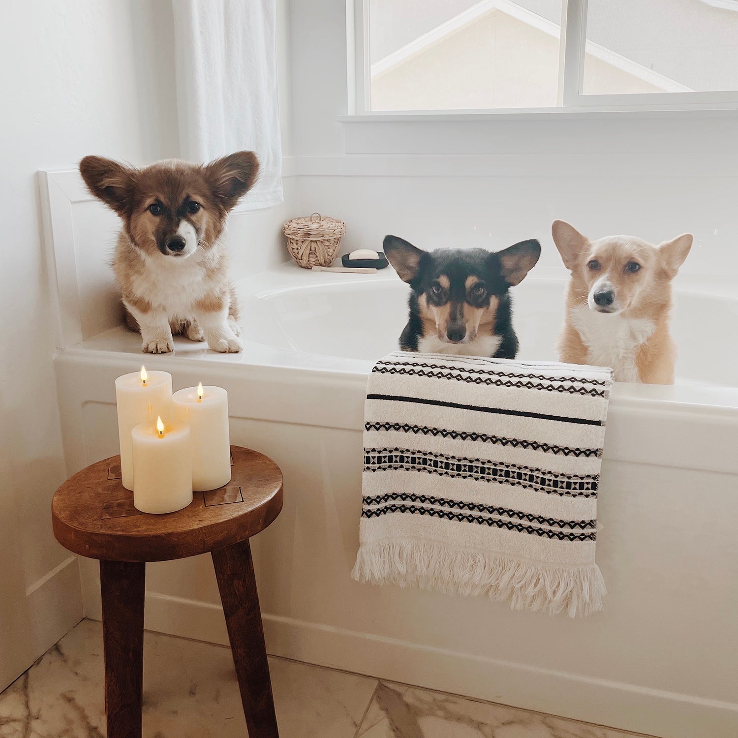 Infinity Wick Ivory Pillar Candles, 3