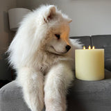 Infinity Wick Ivory 3-LED 6"x6" Pillar Candle