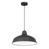 Asher Outdoor Pendant Light, Black