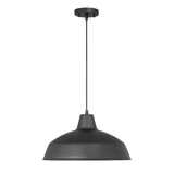 Asher Outdoor Pendant Light, Black