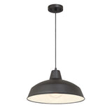 Asher Outdoor Pendant Light, Black