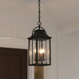 Preston Outdoor Hanging Light, Black and Water Glass