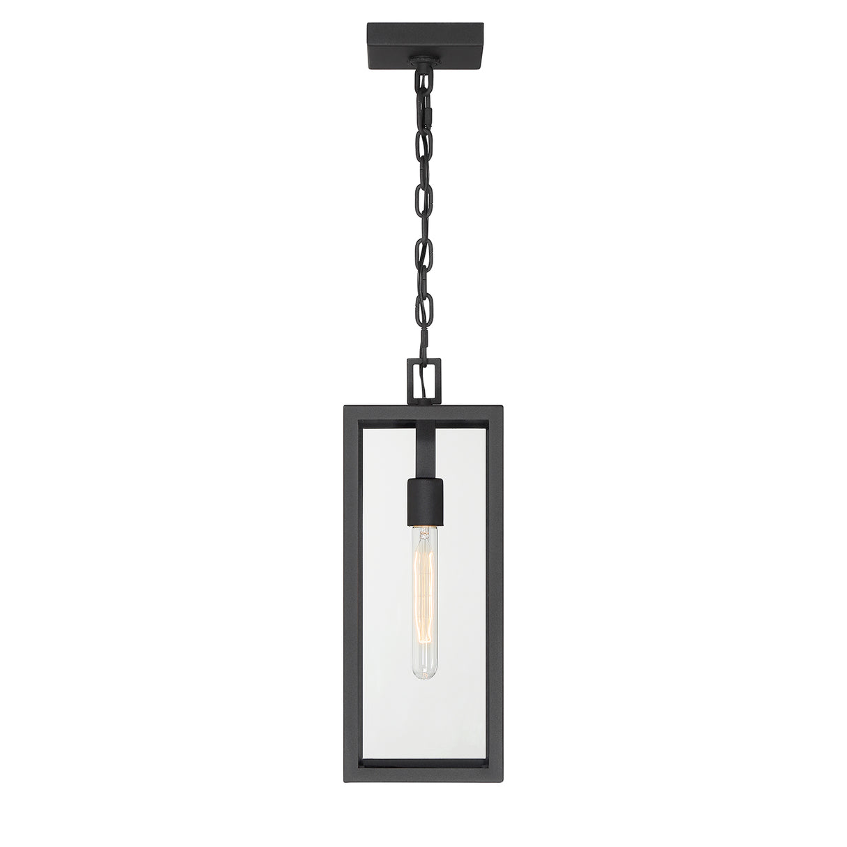 Sam Outdoor Hanging Light