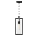 Sam Outdoor Hanging Light