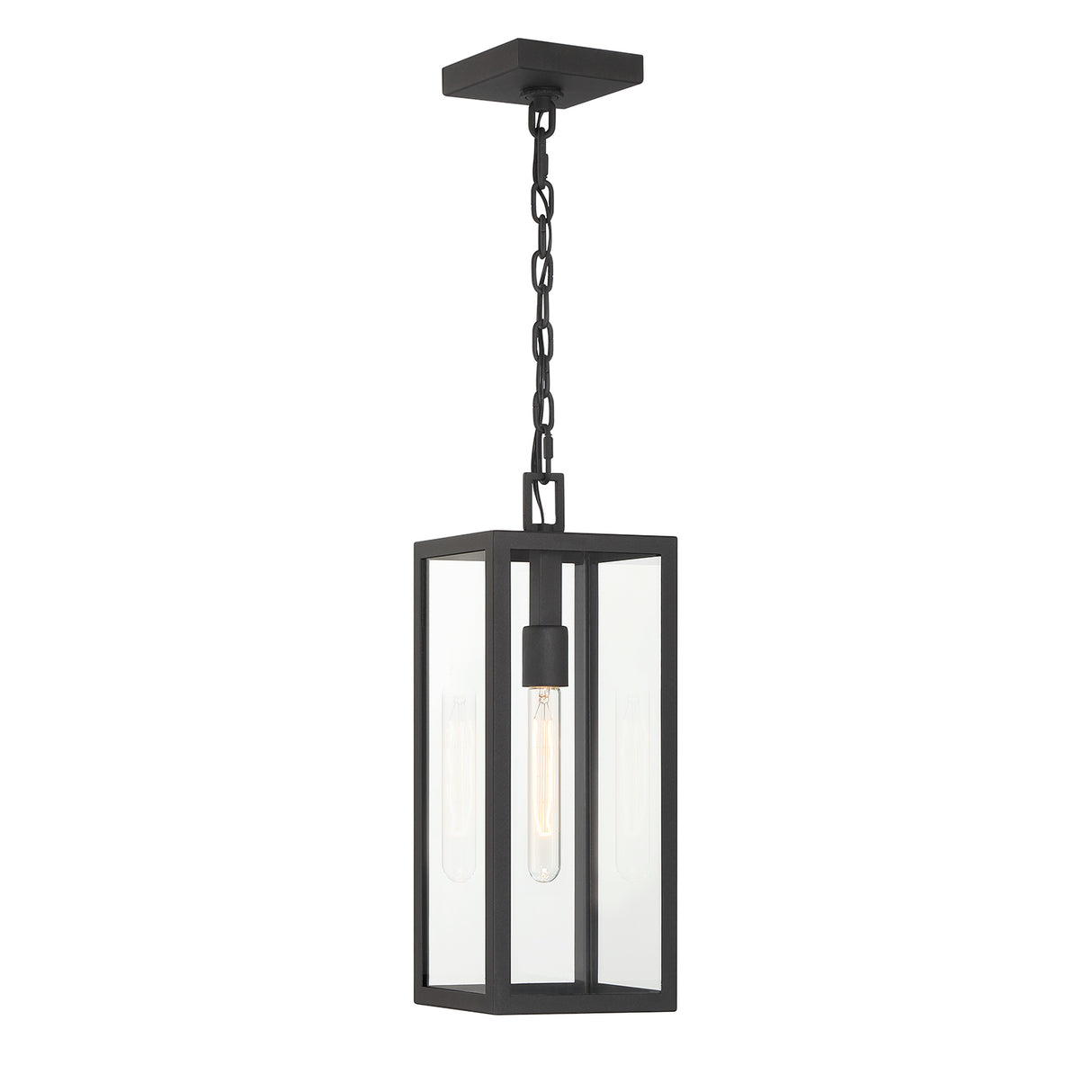 Sam Outdoor Hanging Light