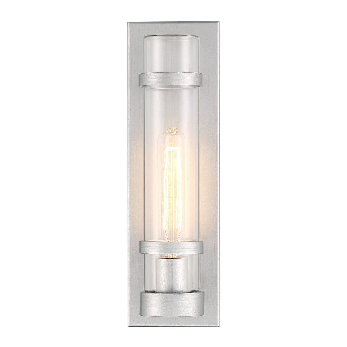 Glenn Outdoor Wall Light, Brushed Aluminum