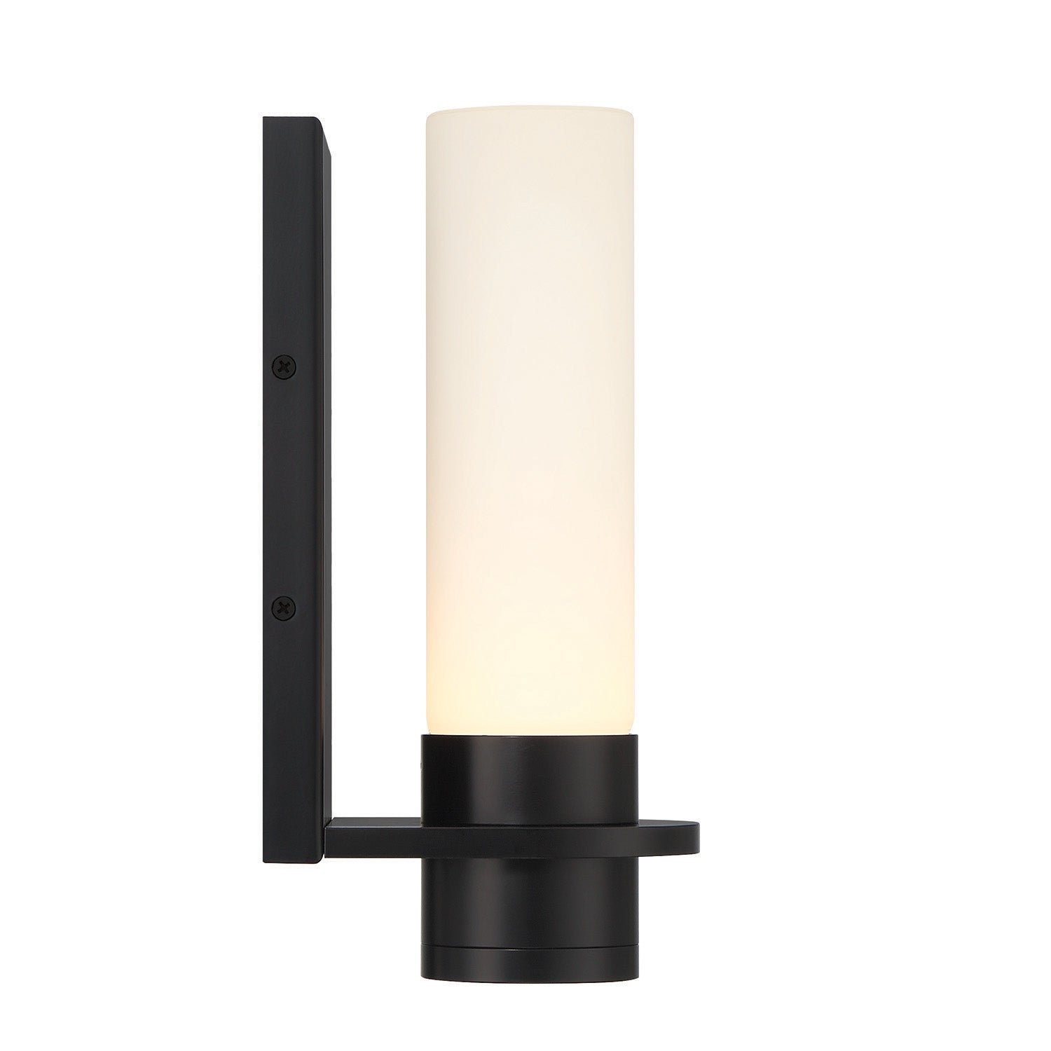 Luna LED Outdoor Wall Sconce