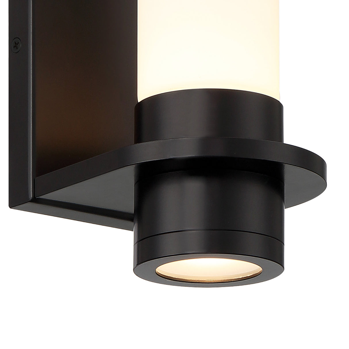 Luna LED Outdoor Wall Sconce