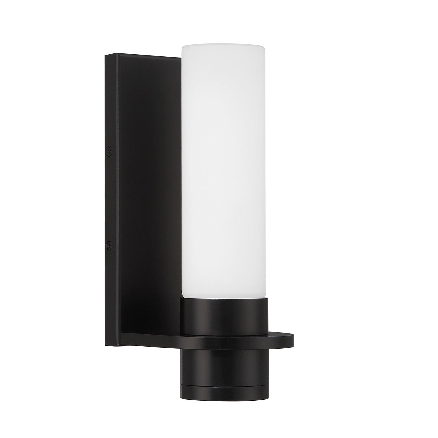 Luna LED Outdoor Wall Sconce