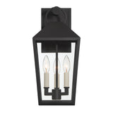 Cole Outdoor Wall Light, Medium, Black