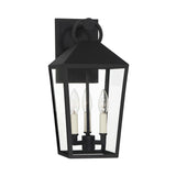 Cole Outdoor Wall Light, Medium 17" Black