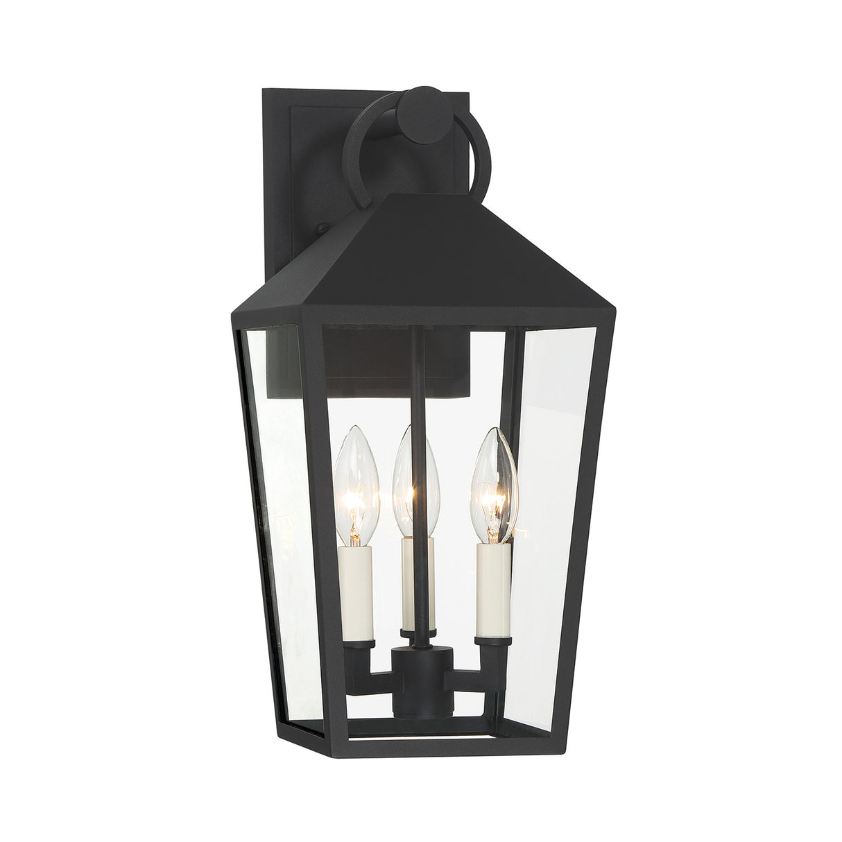 Cole Outdoor Wall Light, Medium, Black