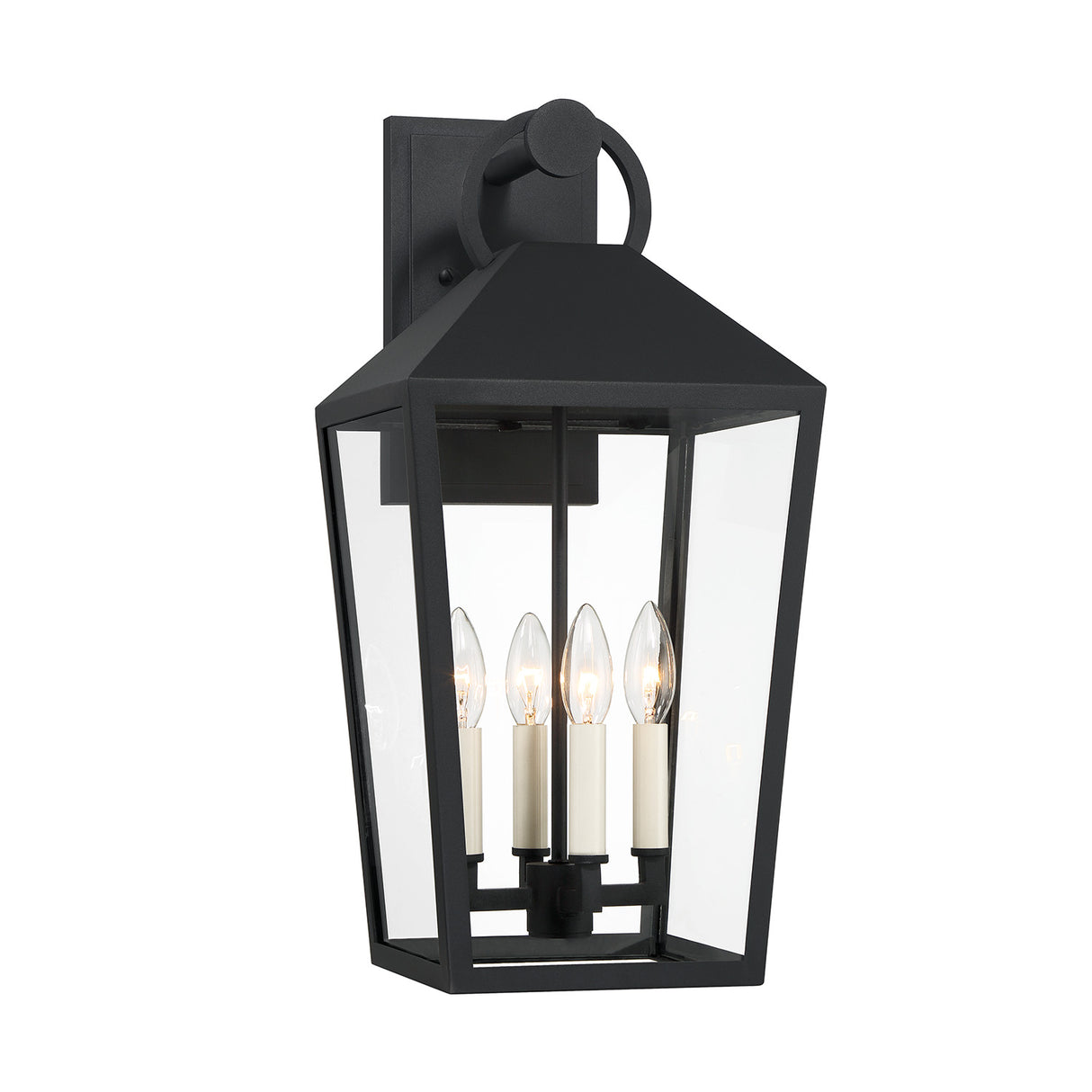 Cole Outdoor Wall Light, Large, Black