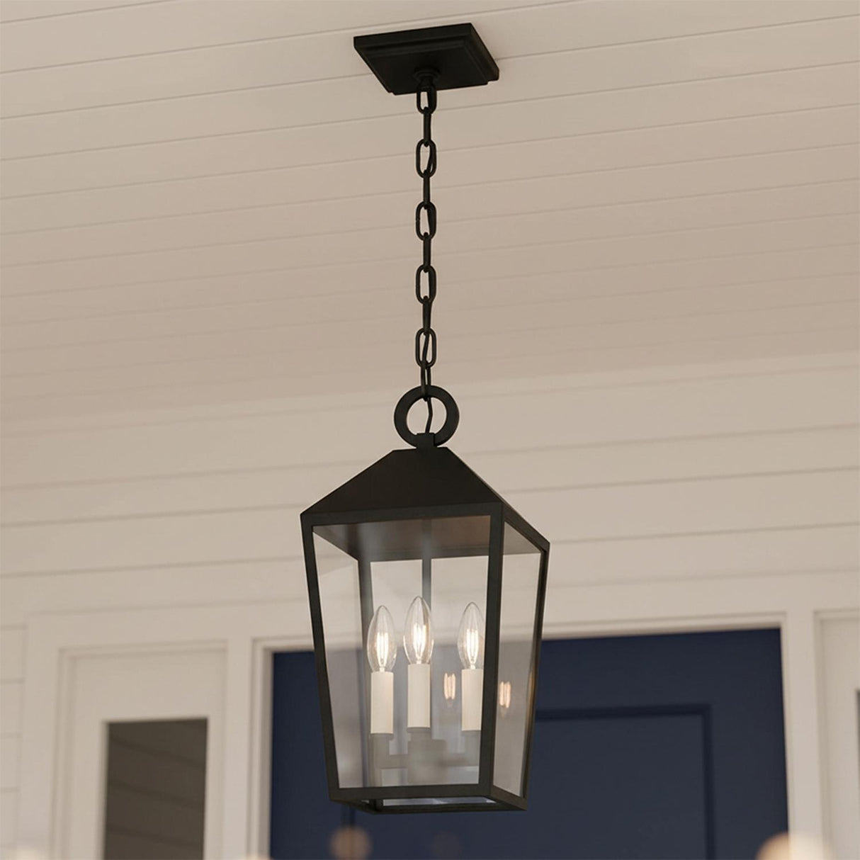 Cole Outdoor Hanging Light, Black