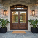 A transitional home entry with two matte black wall lanterns flanking dark wood double doors on a stone facade at twilight with large potted elephant ear plants.
