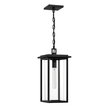 Colin Outdoor Hanging Light