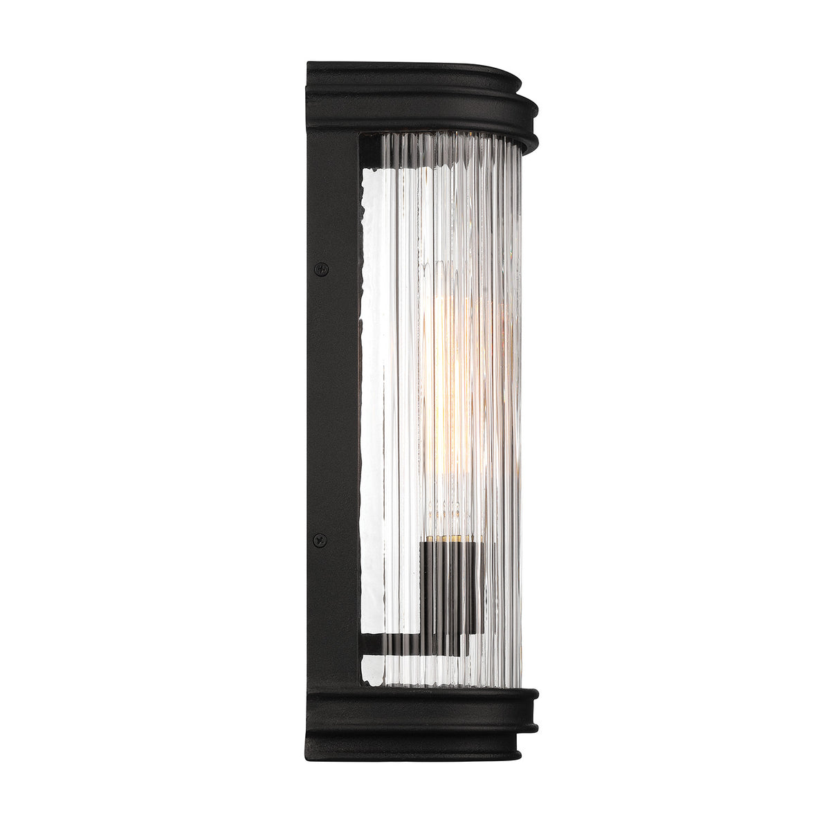 Bristol Outdoor Wall Light, Matte Black with Brass Accents