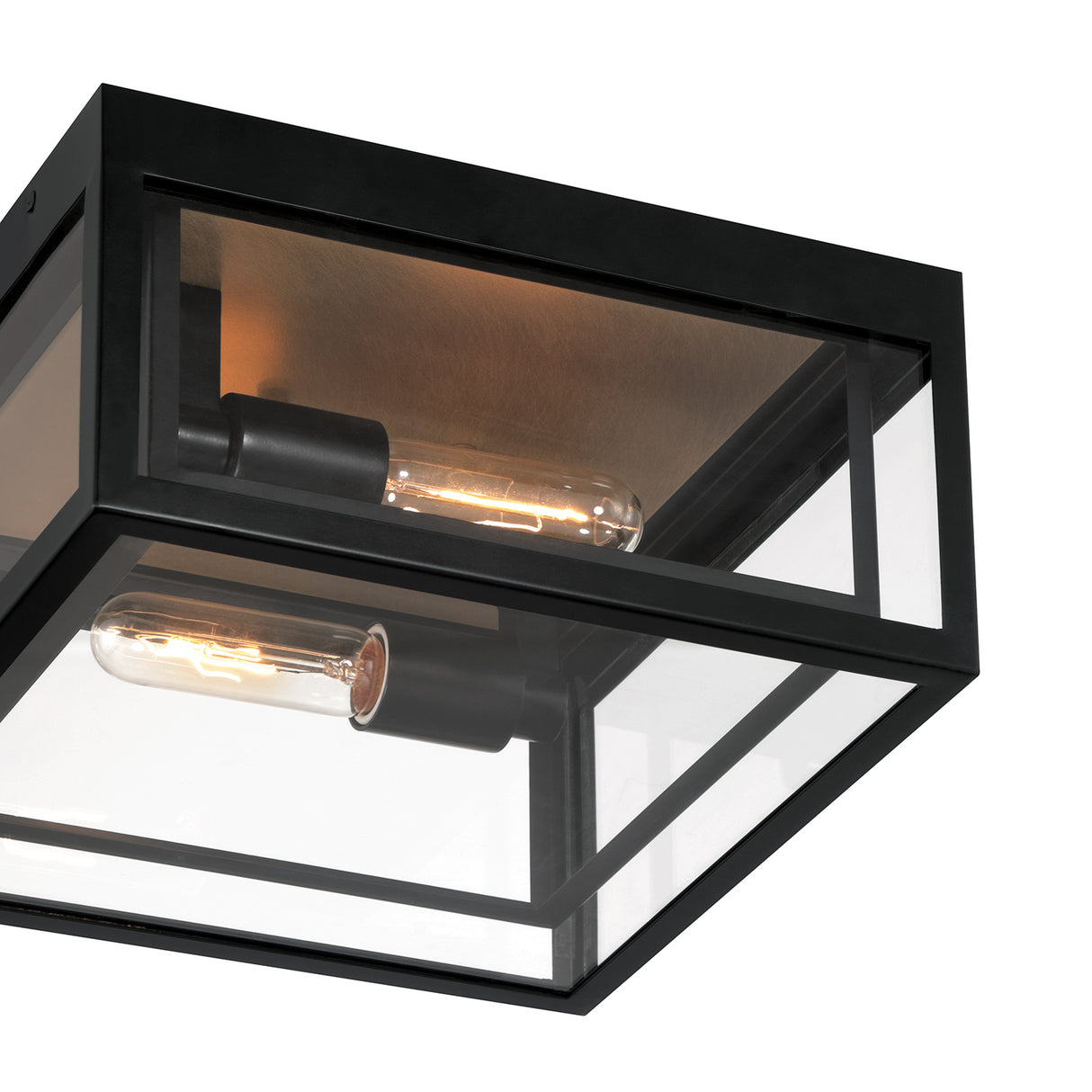 Jaxon Indoor/Outdoor Flush Mount, Matte Black with Brass Accents