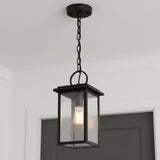 Paterson Outdoor Hanging Light for Modern Farmhouse home with Black Siding