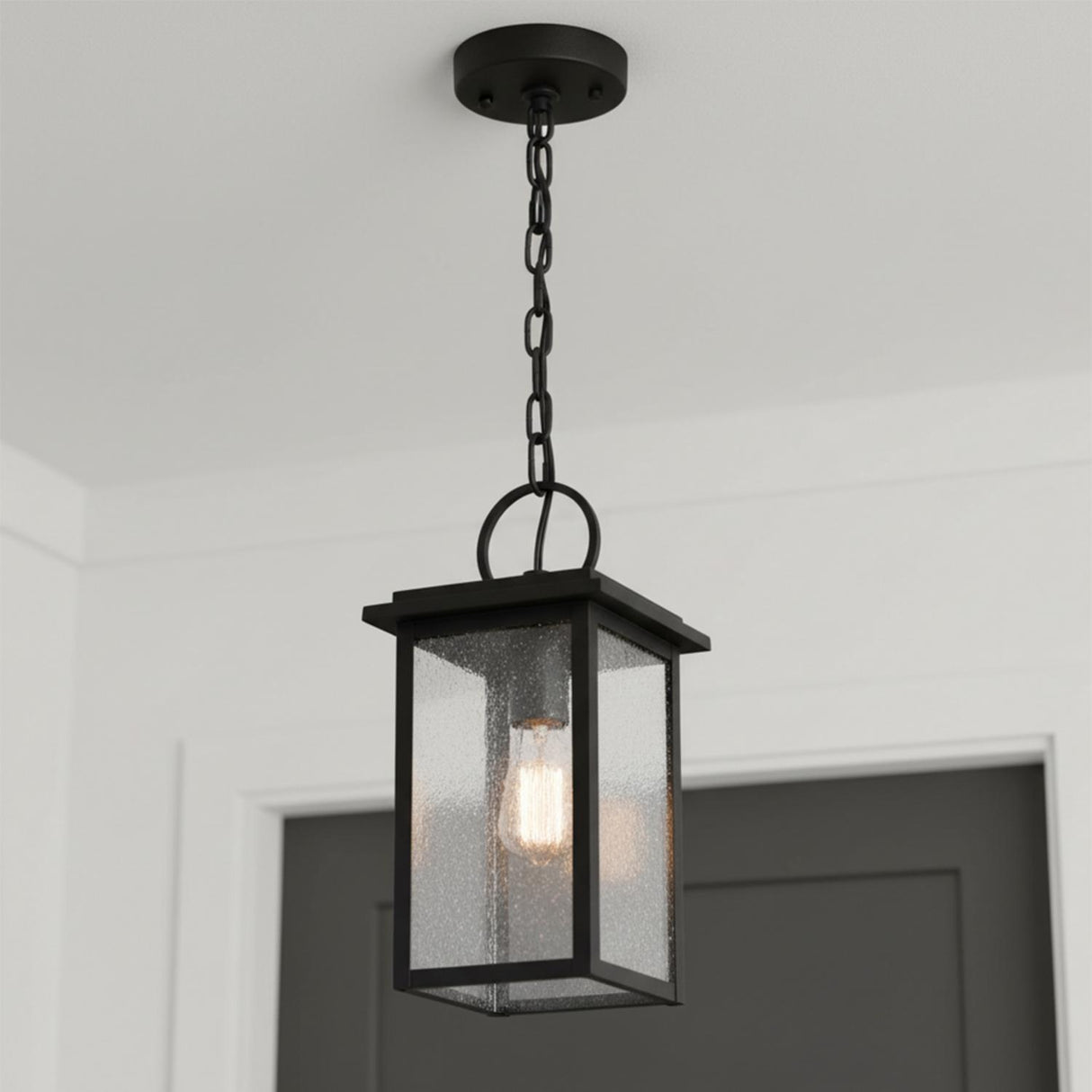 Paterson Outdoor Hanging Light, Medium 15", Black and Seeded Glass