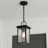 Paterson Outdoor Hanging Light, Medium 15", Black and Seeded Glass