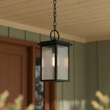Paterson Outdoor Hanging Light, Medium 15", Black and Seeded Glass