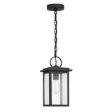 Paterson Outdoor Hanging Light