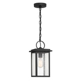 Paterson Outdoor Hanging Light