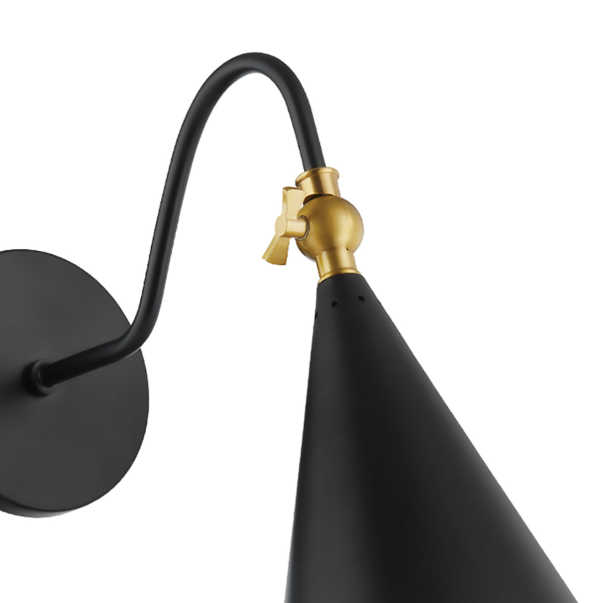 Faye Gooseneck Adjustable Wall Sconce, Black with Aged Brass