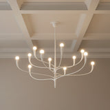 Anita 12 Light Chandelier 52" for Modern home with White ceiling
