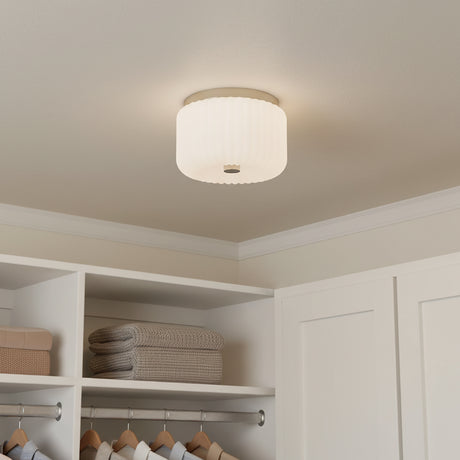 Dora Flush Mount 10", Polished Nickel with Opal Glass - Flush mount ceiling light in a closet.