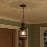 Edgar Outdoor Hanging Light, Bronze for Farmhouse home with Green Siding