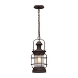 Edgar Outdoor Hanging Light, Bronze