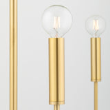 Hollis 6 Light Chandelier 24", Aged Brass