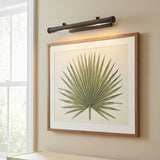Graham Extra Large Picture Light for Transitional home with Warm Beige walls