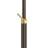 Hayes Floor Lamp, Bronze with Aged Brass