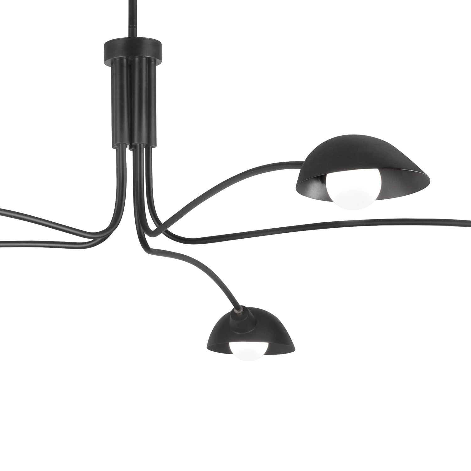 Royce 6 Light Chandelier 84