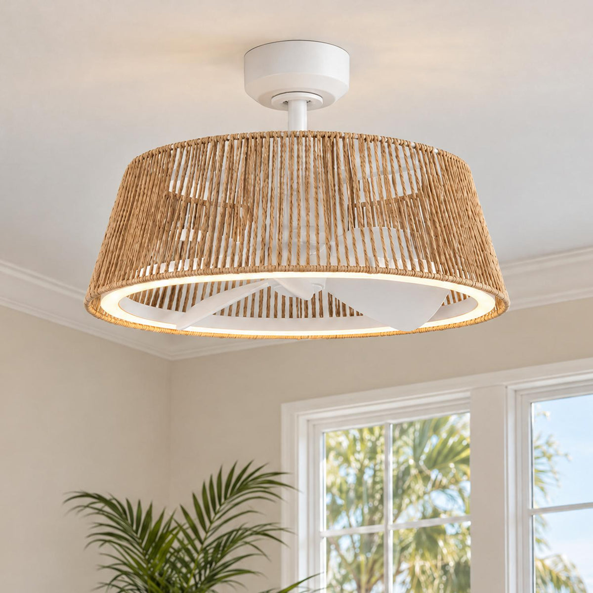 A coastal living room features the Elwood LED Ceiling Fan 24", White with Braided Rope shade mounted above a potted palm plant near sunny multi-pane windows.