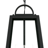 Alden Outdoor Hanging Light, Black
