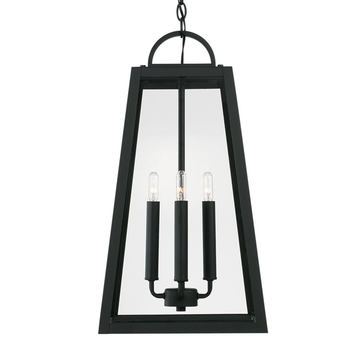 Alden Outdoor Hanging Light, Black