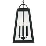 Alden Outdoor Hanging Light, Black