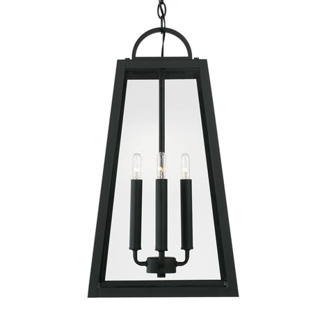 Alden Outdoor Hanging Light, Black