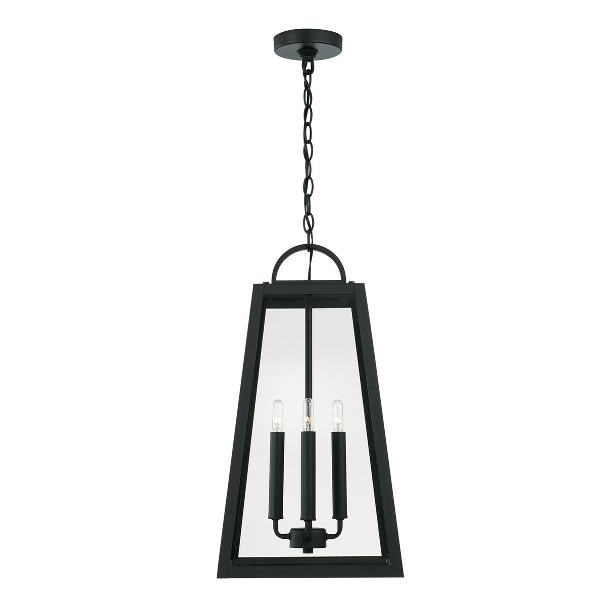 Alden Outdoor Hanging Light, Black