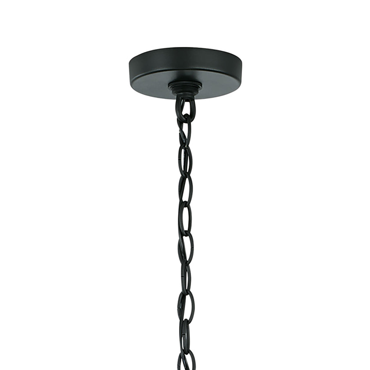 Alden Outdoor Hanging Light, Black