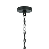 Alden Outdoor Hanging Light, Black