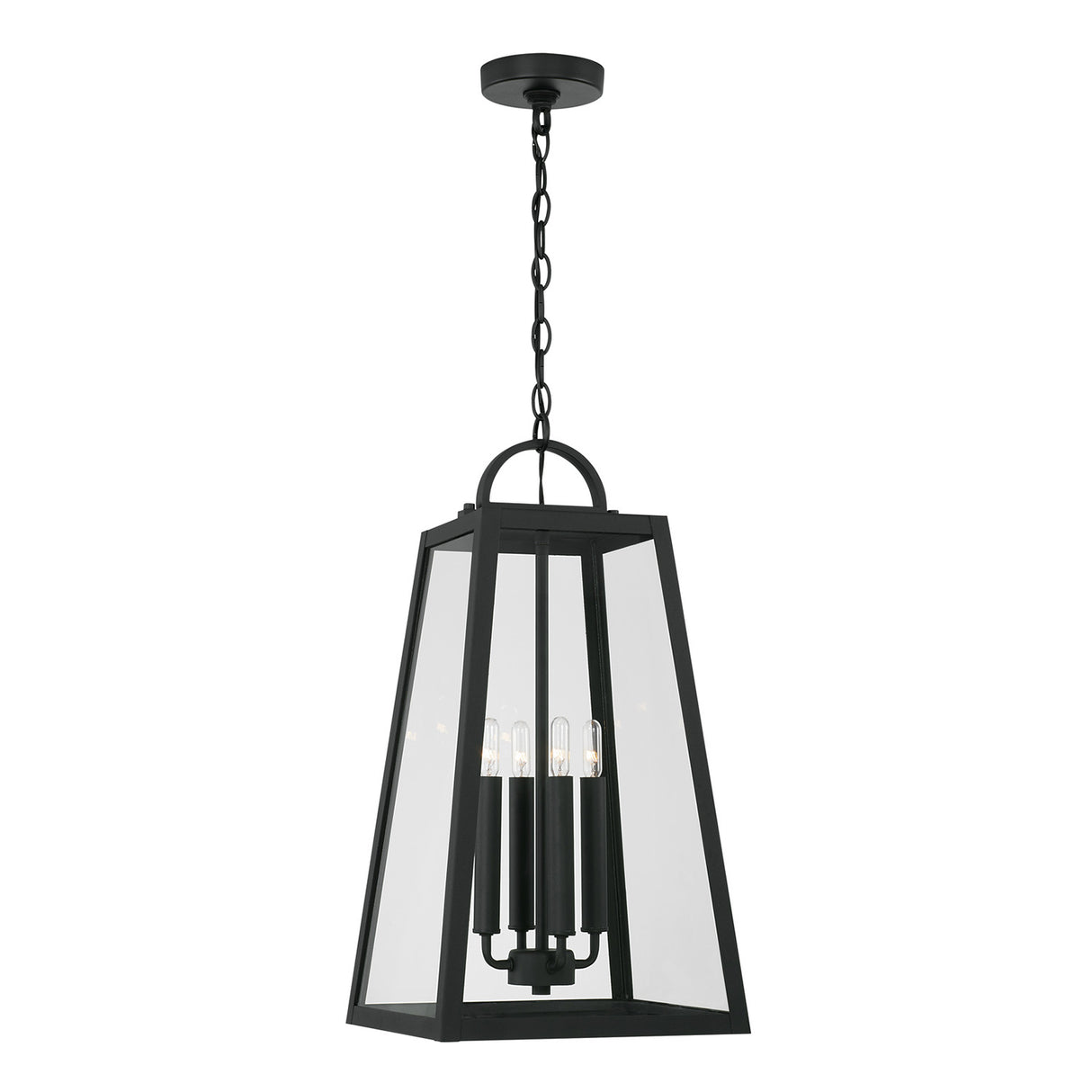 Alden Outdoor Hanging Light, Black
