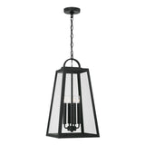 Alden Outdoor Hanging Light, Black