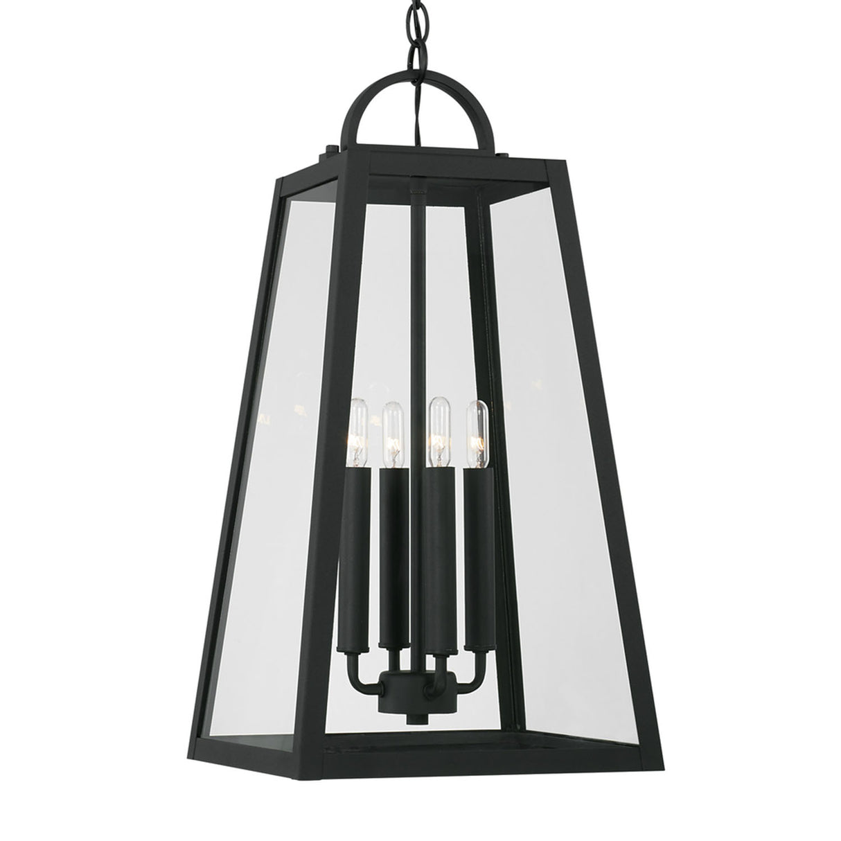 Alden Outdoor Hanging Light, Black