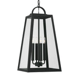 Alden Outdoor Hanging Light, Black